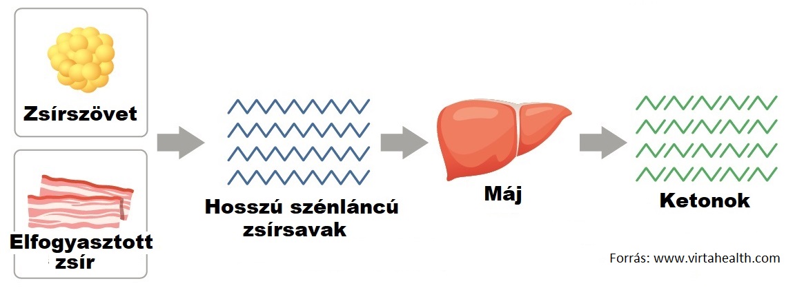 ketózis a cukorbetegség kezelésének)