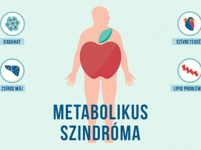 zsírégető metabolikus szindróma