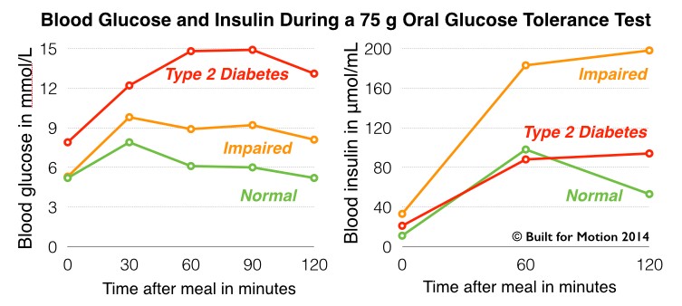 terheléses vércukor inzulin értékek